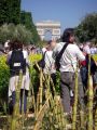 2010 05 24 jeanmarcperfetti.com 065.JPG